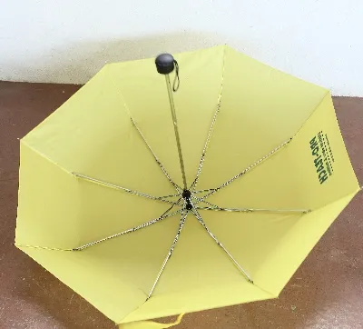 Customised Umbrella