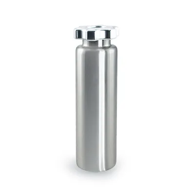 Stainless Steel Bottle