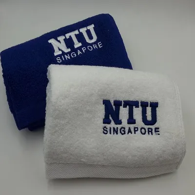 Sports Towel