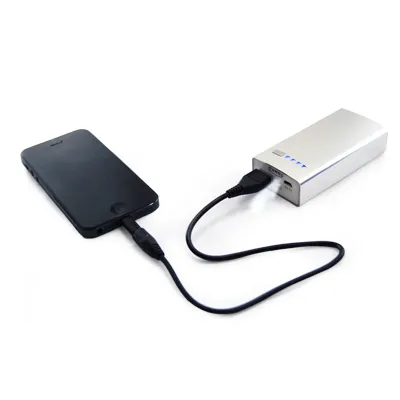Portable Charger with Torch Light